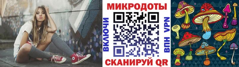 закладки  Дмитриев  Галлюциногенные грибы Cubensis 